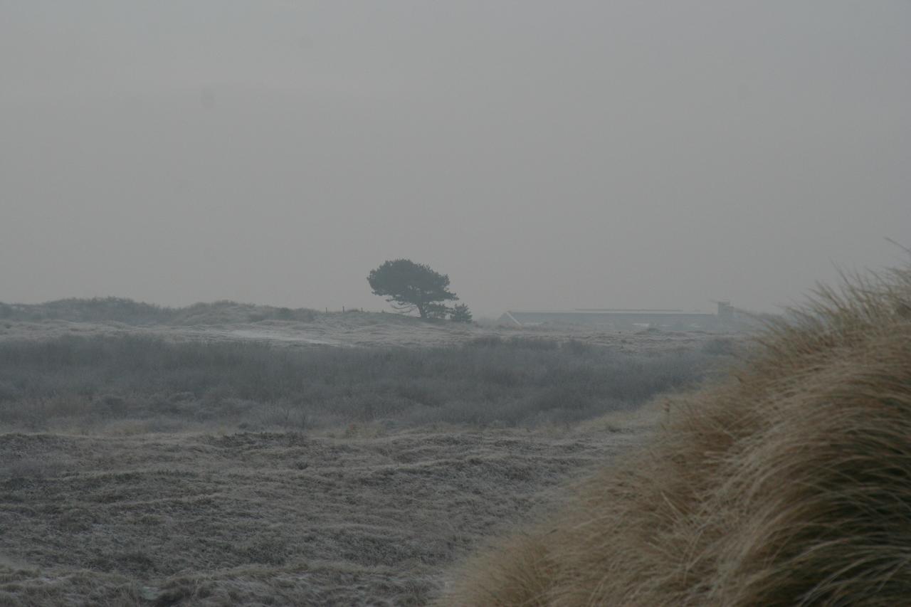 Chalet Duinzicht G68 Ameland Buren  Bagian luar foto